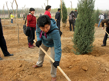 植树活动